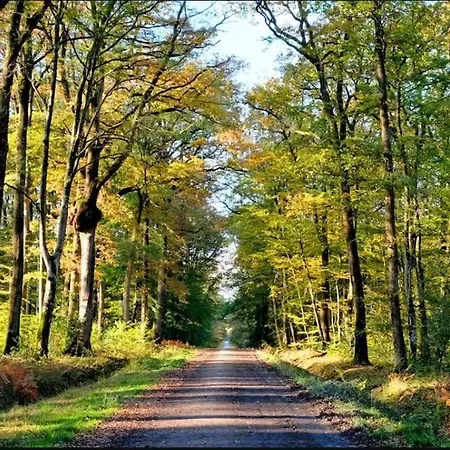 De La Gare - Les Conteneurs * Plessé
