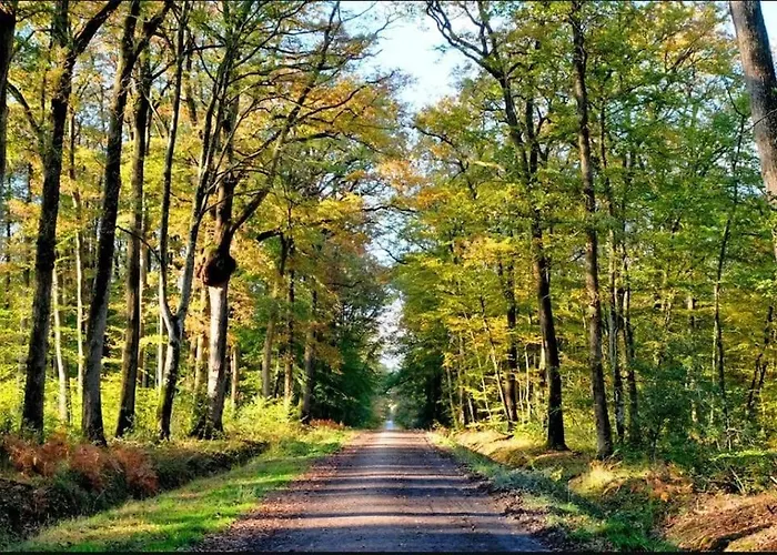 De La Gare - Les Conteneurs * Plessé