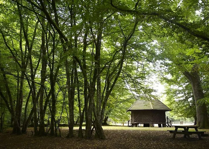 De La Gare - Les Conteneurs Plessé